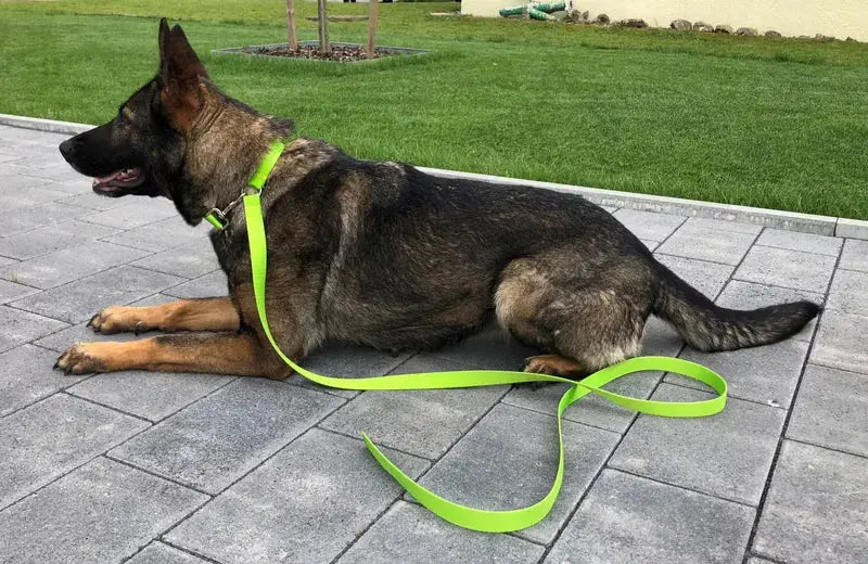 Arbeitsleine Extrem – Robuste Nylon Hundeleine für Training & Sport iljoke